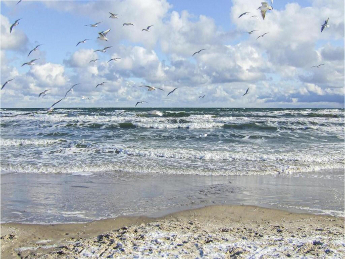 Others 3, Wohnung in Klutz nahe Ostseestrand, Nordwestmecklenburg