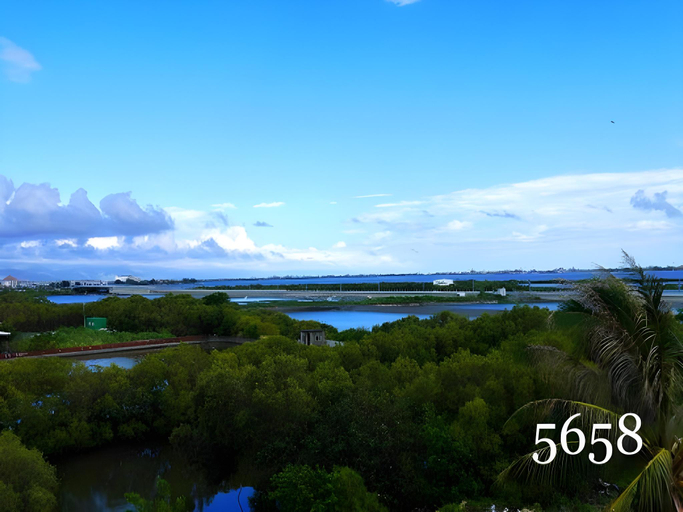 Others 5, Neptune BnB, Pingtung