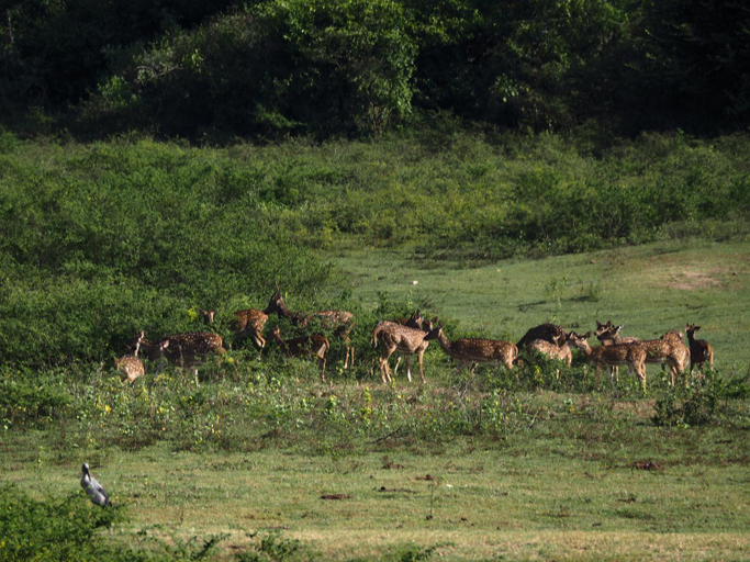 Others 3, Blue Lake Ridge, Mahaoya