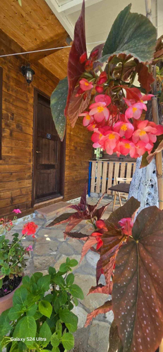 Exterior & Views, Holiwood, Vlorës