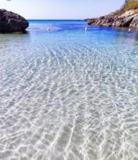 Others 5, PugliaBeachApartments 2, Taranto