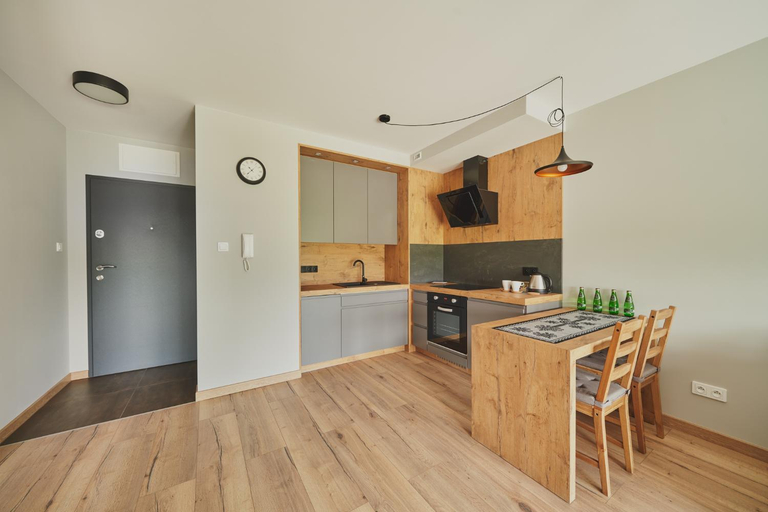 Others 4, Apartamenty SZAROTKA Nowy Targ, Nowy Targ