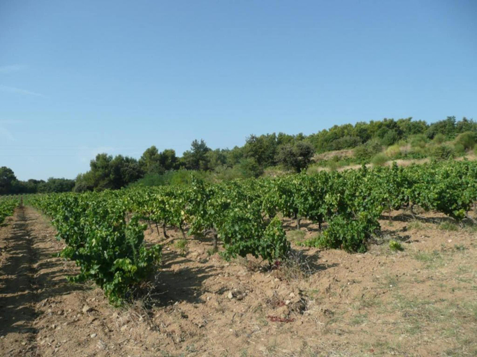 Others 4, Apartment in Avignon near Palais de Papes, Vaucluse