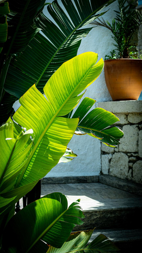 3, POM Alaçatı Boutique Otel, Çeşme