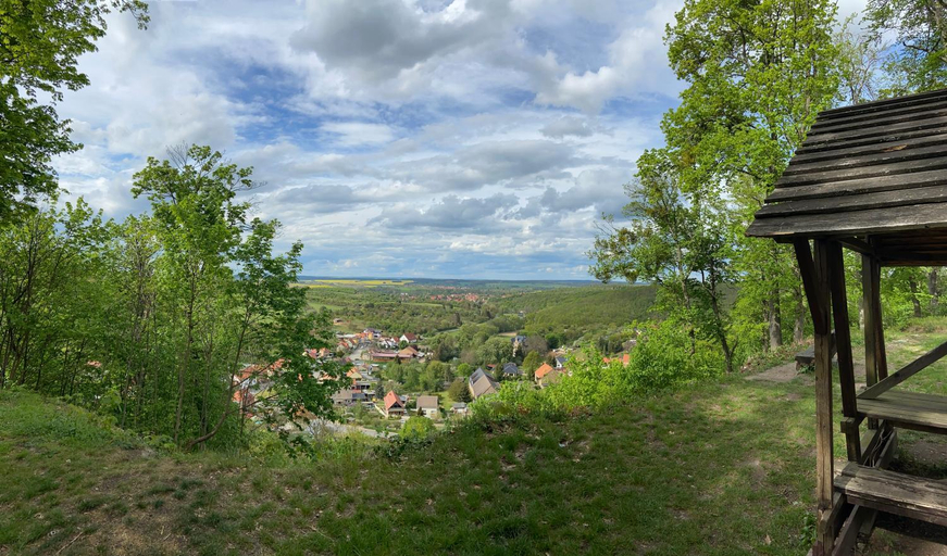 Others 2, Haus Murphy - by Le petit Palais, Harz