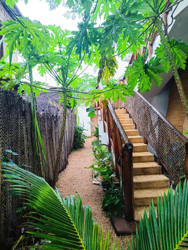 Surrounding environment 2, Mgongo tree house, Kusini