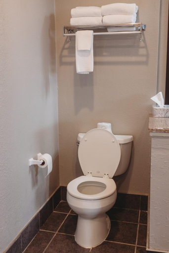 Bathroom 4, AmericInn by Wyndham Appleton Downtown, Outagamie