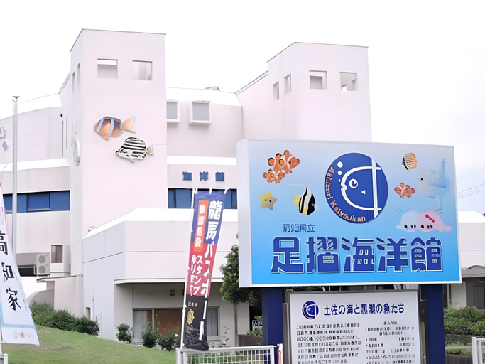 Others 5, Hotel Nagoku, Tosashimizu