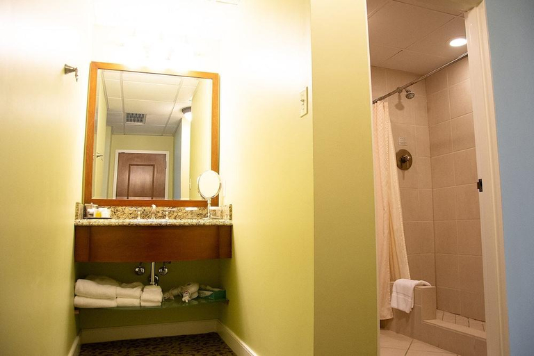 Bathroom 3, The Blennerhassett Hotel, Wood