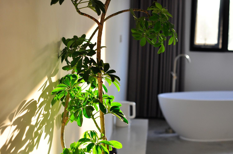Bathroom 3, Xingle Hotel(Suzhou Guanqian Street Pingjiang Road), Suzhou