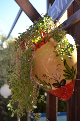 Food & Drinks, Pavillon de Luberon, Vaucluse