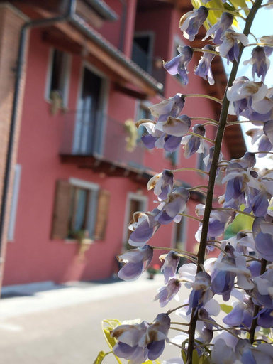 Exterior & Views 2, B&B Rubino, Cuneo