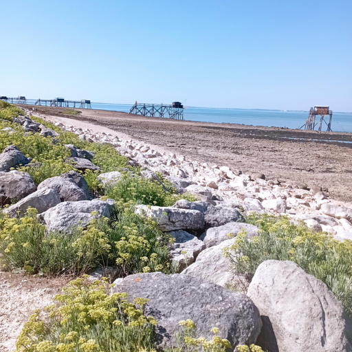 2, Chez Cathy et Jean loup, Charente-Maritime