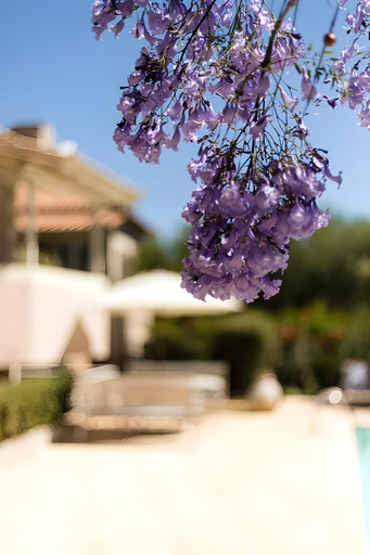 Sport & Beauty 2, Tria Luxury Residences, Peloponnese