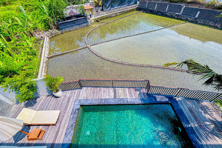 Swimming pool 5, Dajan Dukuh Villa (2 Bedroom Villa with Minimum Stay 2 Night), Tabanan