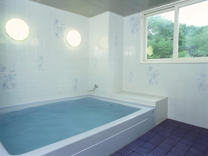 Bathroom, Hakuba King Hotel, Otari