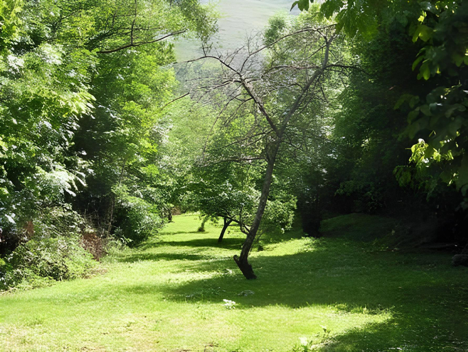 Others 4, Hotel Benzua, Asturias