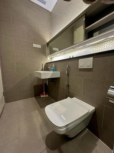 Bathroom 4, The Dolphin Lucentia Bukit Bintang KLCC, Kuala Lumpur