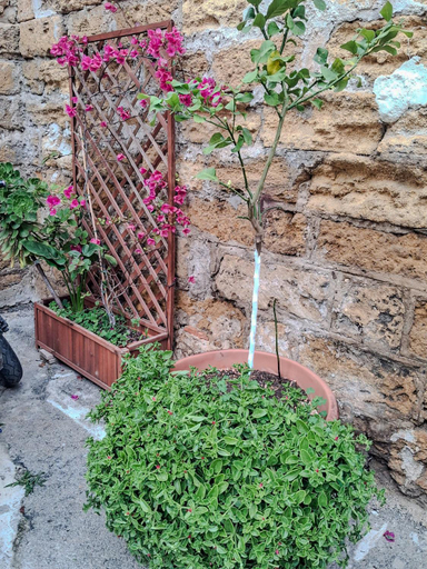 Others 3, La Casa di Sciu Sciu, Palermo