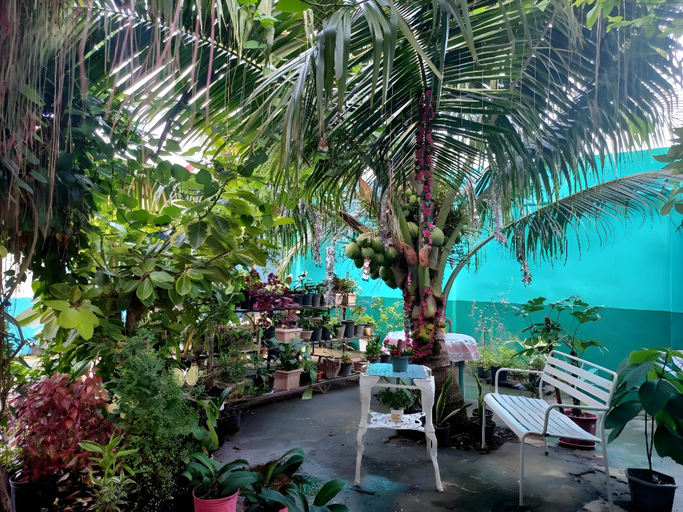 Others 3, Pete's inn, Roxas City