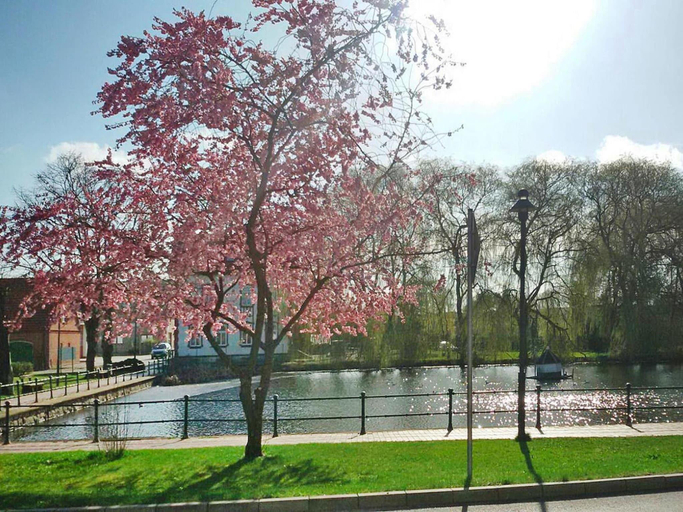 Others 4, Ferienhaus in Neukalen, Mecklenburgische Seenplatte