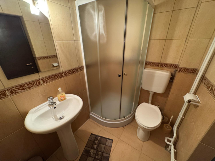 Bathroom 5, Casa din Barsana, Barsana