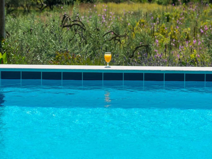 Sport & Beauty 2, Villa Harmonia with patio and shared pool, Konavle