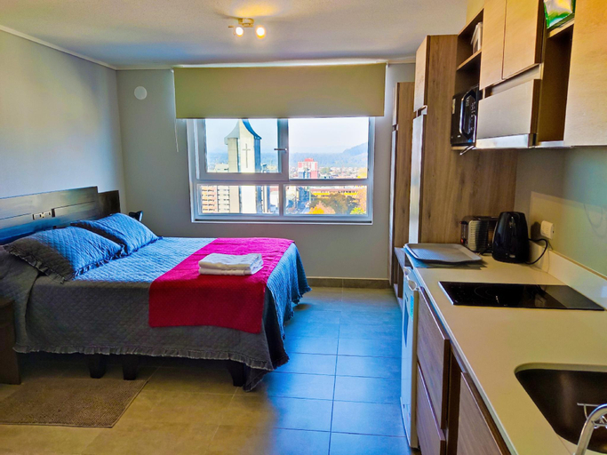Others 2, Epicentro Suites Apart Hotel - Temuco, Cautín