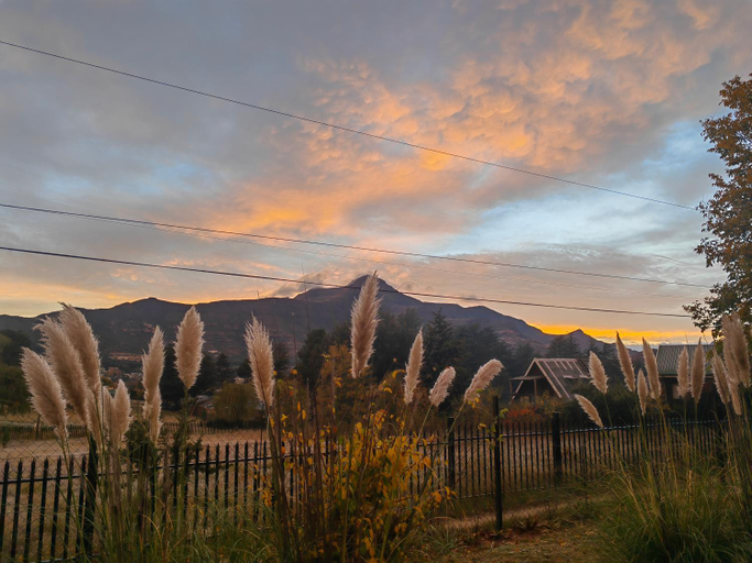 Others 4, Palmboom Cottage at Sielerus by Horeb, Thabo Mofutsanyane