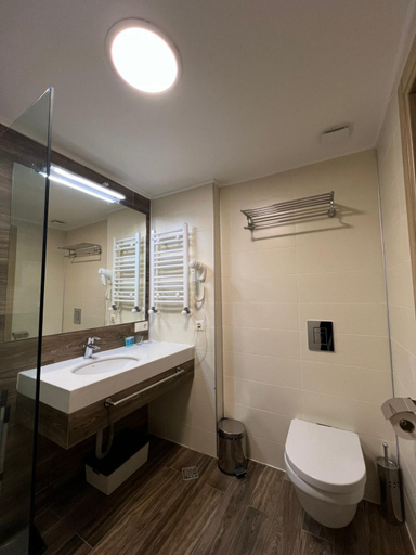 Bathroom, Orbi Palace, Bakuriani, Borjomi