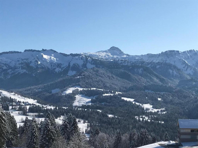Others 4, Chalet in Vorarlberg near Ski Slopes, Bregenz