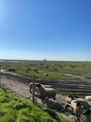 Others 5, Le Relais de la Hardiesse 6km Mont St Michel - Chambres d'hotes et gites, Manche