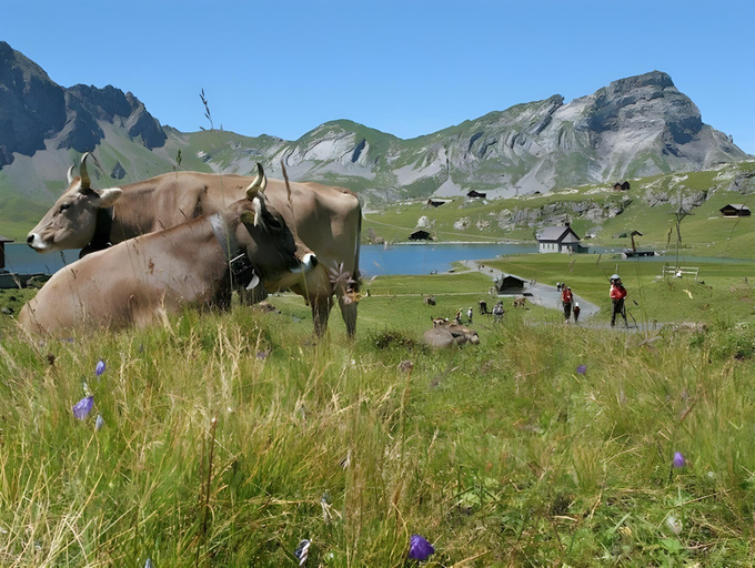 Others 5, Berggasthaus Tannalp, Obwalden