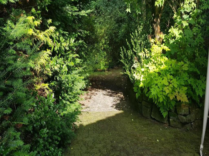 Others 5, Charmantes Refugium, Harz, Goslar