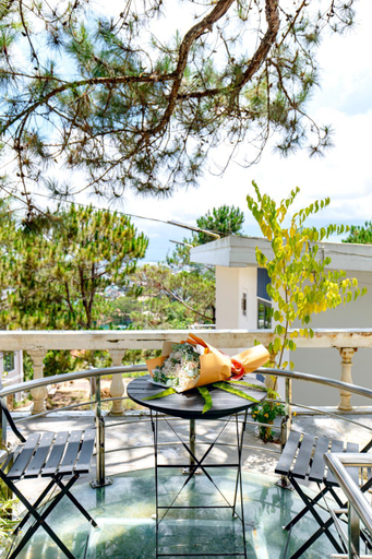Sport & Beauty 5, Dallas Hotel DaLat, Đà Lạt