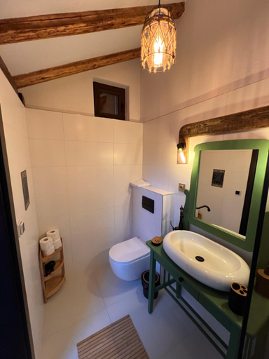 Bathroom 5, Famives vendeghaz, Siculeni