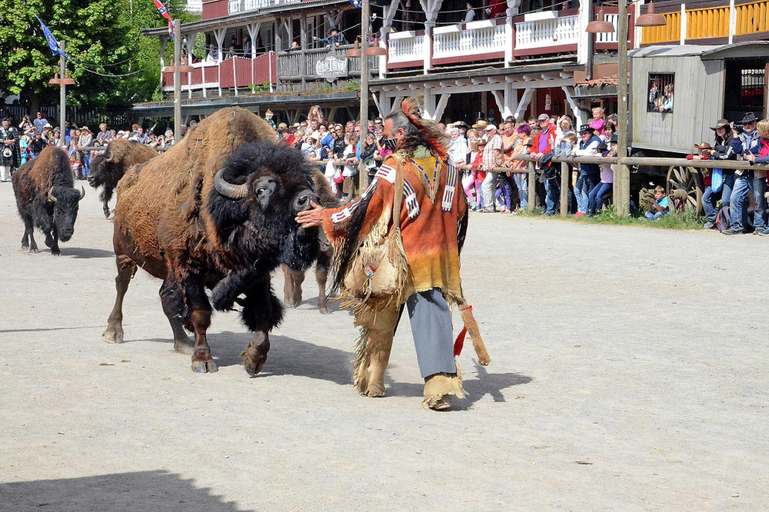 5, Harz Holiday Park, Hasselfelde, Harz