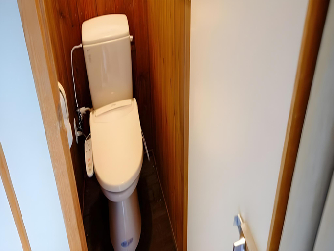 Bathroom 3, Fujiya, Takayama