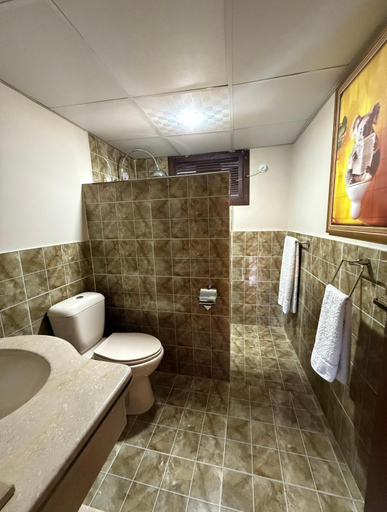 Bathroom 3, The Guest House Hunza, Northern Areas