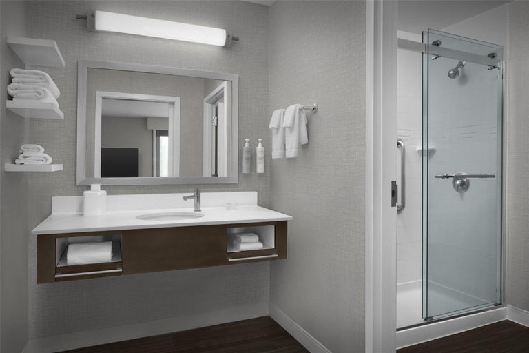 Bathroom 3, Hampton Inn & Suites Georgetown, Williamson