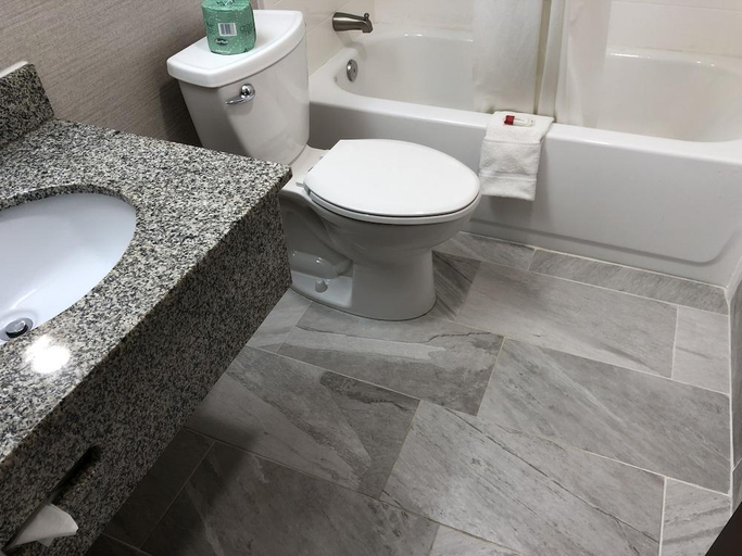 Bathroom 4, Finger Lakes Inn & Suites, Steuben