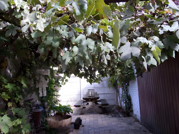 Others 5, B&B Aurora, West-Vlaanderen