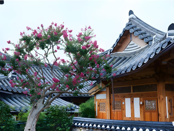 Others 5, Dajeong stay, Jeonju