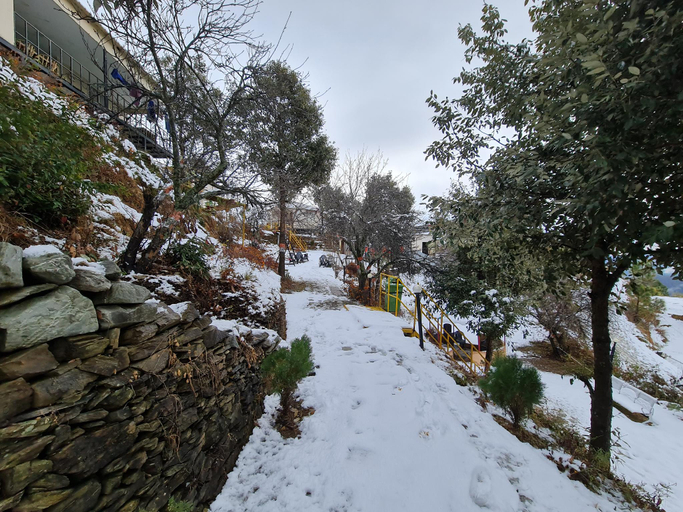 Others 4, The Kanatal Arbour, Tehri Garhwal