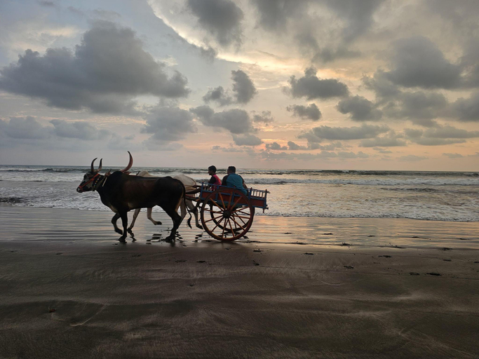 Others 5, The Byke Skylark Seafront Resort, Dapoli, Ratnagiri