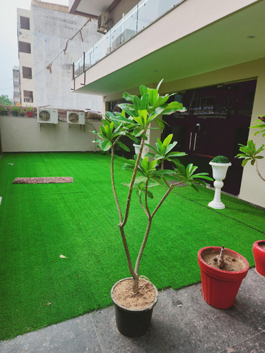 Public Area 3, Akshay Corporate Hotel, Gurgaon