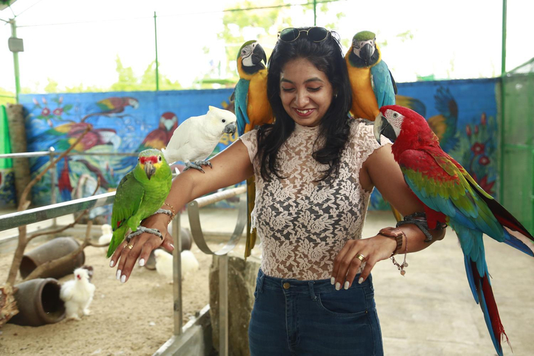 Others 4, Suggee Resort, Bangalore