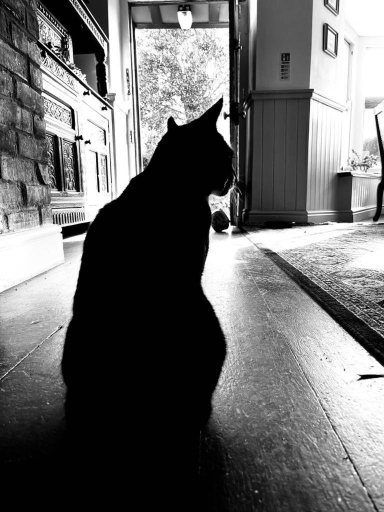 Others 4, Bishops Cottage Lulworth Cove, Dorset