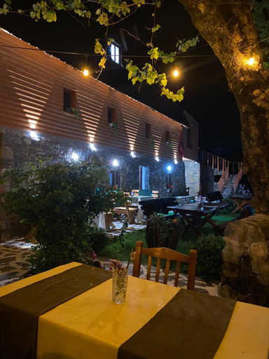 Food & Drinks