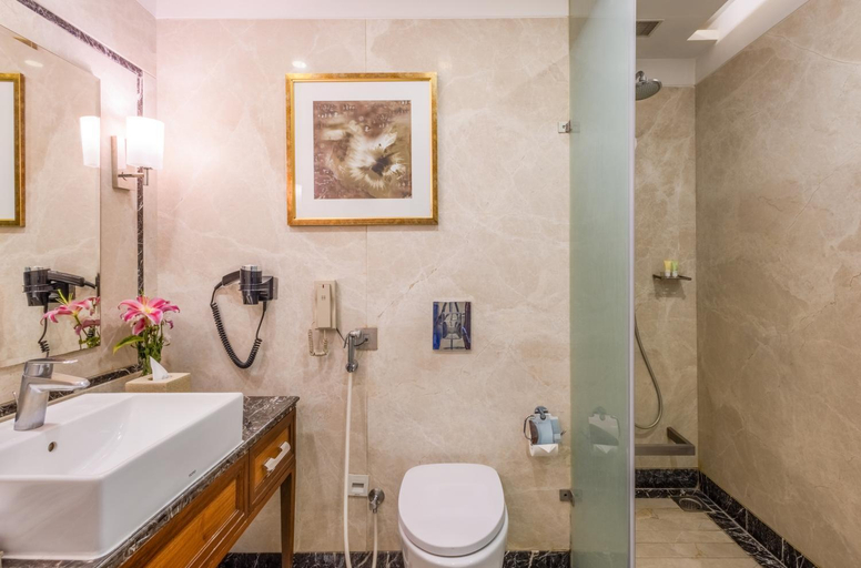 Bathroom 4, Sayaji Kolhapur, Kolhapur